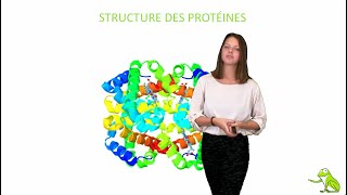 Structure des protéines [upl. by Rafter57]