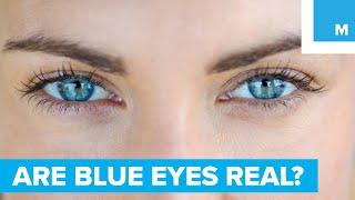 Are Blue Eyes Really Blue  Sharp Science [upl. by Kellene]