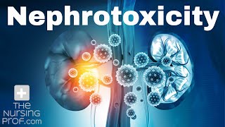 Renal Emergencies Nephrotoxicity [upl. by Neille]