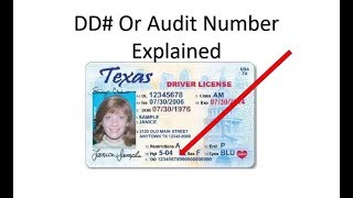 What Is The DD or Audit Number On Your Drivers License Explained [upl. by Segroeg]