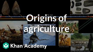 Origins of agriculture  World History  Khan Academy [upl. by Onateyac]