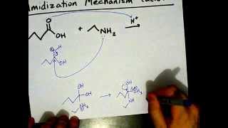 How to Make Amides Mechanism [upl. by Thurber75]