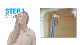 How to Sanitize a Reverse Osmosis RO System with SaniSystem [upl. by Pentheam21]