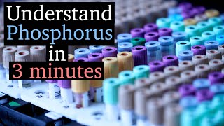 Hypophosphatemia vs Hyperphosphatemia  Phosphorus Imbalances [upl. by Engedus]