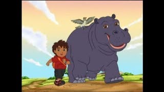 Go Diego Go  Diego Reunites Hippo [upl. by Llerrehc]