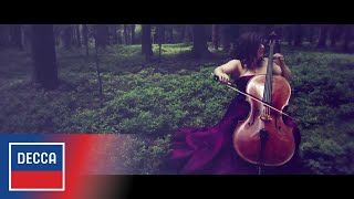 Alisa Weilerstein Dvořák Cello Concerto  I Allegro [upl. by Flem]