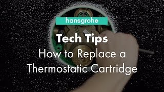 Hansgrohe Tech Tips How to Clean Thermostatic Cartridge [upl. by Calli]