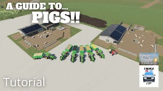 How to Grow Sugarcane in Farming Simulator 19 [upl. by Icat158]