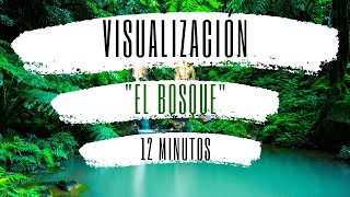 VISUALIZACIÓN quotEL BOSQUEquot MEDITACIÓN PARA LA ANSIEDAD Y EL AGOBIO RELAJACIÓN DE CUERPO Y MENTE ☼ [upl. by Sidoeht]