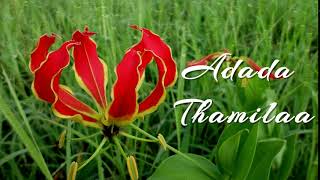 Tamil Eelam Song  Adada Thamilaa [upl. by Anegal]