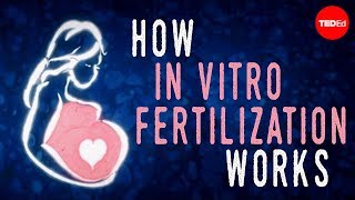 How in vitro fertilization IVF works  Nassim Assefi and Brian A Levine [upl. by Araas]