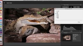 Canon Digital Photo Professional DPP 4 Software Overview and Interface Tour [upl. by Darton525]