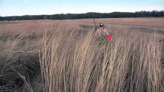 Kansas Upland Game Bird Hunting  1415 [upl. by Tade]