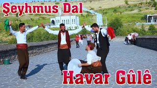 Havar Güle Halay Govend Cida  Şeyhmus Dal  Official Video [upl. by Eerrehs]