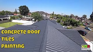 Concrete Roof Tiles Painting 2020 [upl. by Philander]