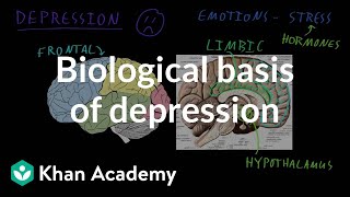 Biological basis of depression  Behavior  MCAT  Khan Academy [upl. by Llenart]