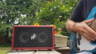 Phil Jones Bass Double Four unboxing and review [upl. by Gascony]