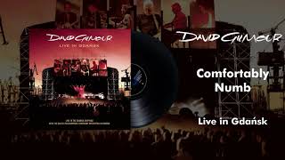 David Gilmour  Comfortably Numb Live In Gdansk Official Audio [upl. by Munniks712]