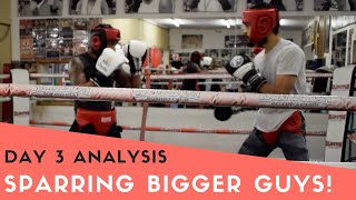 Day 3 Boxing Sparring Vs  Bigger Opponents with commentary [upl. by Noland]