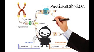 Pharmacology  CANCER DRUGS  ANTIMETABOLITES MADE EASY [upl. by Airamzul]