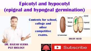 Epicotyl and hypocotyl epigeal and hypogeal germination [upl. by Epillihp]