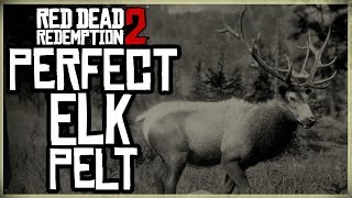 HOW TO GET A PERFECT ELK PELT  RED DEAD REDEMPTION 2 PRISTINE ELK HUNT 3 STARS [upl. by Ycnalc]