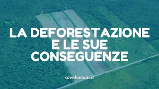 La deforestazione e le sue conseguenze [upl. by Eanod820]