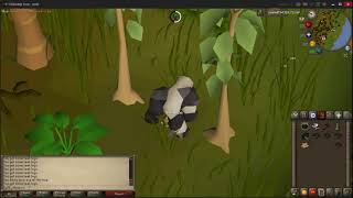 3 TICK WOODCUTTING QUICK GUIDE OSRS [upl. by Andaira]