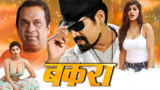 बकरा  Latest South Indian Comedy Movie Dubbed In Hindi  Srihari Yashika Brahmanandam [upl. by Alver]