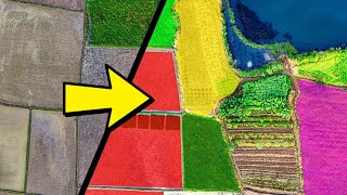 Googles New AI May Change INDIAN FARMING [upl. by Saum]