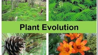 Plant Evolution updated [upl. by Salina]