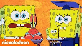 SpongeBob Kanciastoporty  Lekcja Sponge’a  Nickelodeon Polska [upl. by Amsirak280]