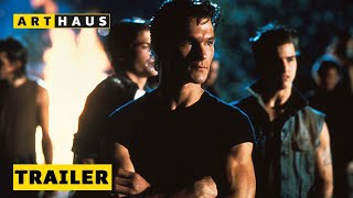 THE OUTSIDERS 4KRestaurierung  Trailer  Deutsch  Ab 1111 auf DVD Bluray UHD und digital [upl. by Thackeray]