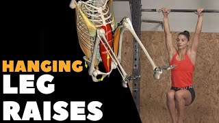 Hanging Leg Raises I Anatomical Analysis [upl. by Ecirtaeb]