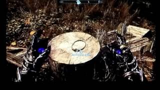 Skyrim  how to get ALL TEMPLE AMULETS easily [upl. by Alex988]