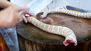 Chinese Street Food  GIANT SNAKE SOUP Guangdong China [upl. by Ailisec842]