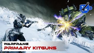 Primary kitguns  perfect builds for each type  Warframe [upl. by Adelice]