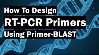 How To Create RealTime PCR Primers Using PrimerBLAST [upl. by Nosittam]