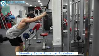 Standing Cable Rope Lat Pushdown [upl. by Kerek940]