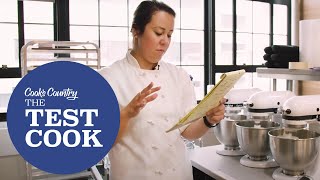 THE TEST COOK SUPERCUT How Cecelia Reached the Perfect Cuban Sandwich Recipe [upl. by Noemis342]