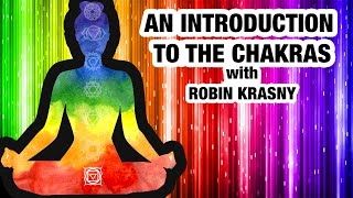 Beginners Guide to Chakras  Everything You Need to Know About Chakras [upl. by Iow148]