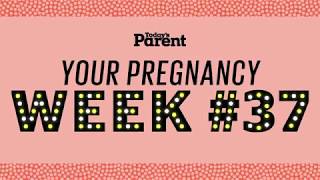 Your pregnancy 37 weeks [upl. by Allene]