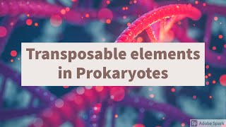 Transposable elements in Prokaryotes Molecular Biology Biocapsules [upl. by Anrat]