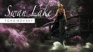 Swan Lake  Tchaikovsky  slowed down  1 hour [upl. by Nysila]