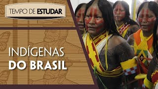 Indígenas do Brasil l Tempo de Estudar  História  7º ano [upl. by Seabury]