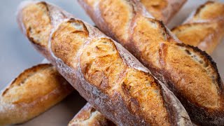 How Baguettes are Made Using the Poolish Method to Produce Incredible Texture and Structure [upl. by Iveson]