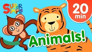 Our Favorite Animals Songs For Kids  Super Simple Songs [upl. by Nabe291]