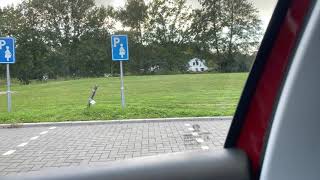 8 Bijzondere verrichtingen achteruit in een vak parkeren [upl. by Ilaw]