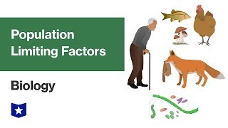 Population Limiting Factors  Biology [upl. by Sillyhp]