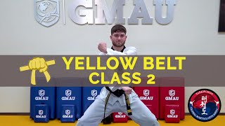 Taekwondo Follow Along Class  Yellow Belt  Class 2 [upl. by Frulla]